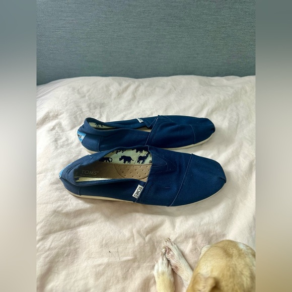 Men's blue slip-on Toms Size 9 - Picture 6 of 7